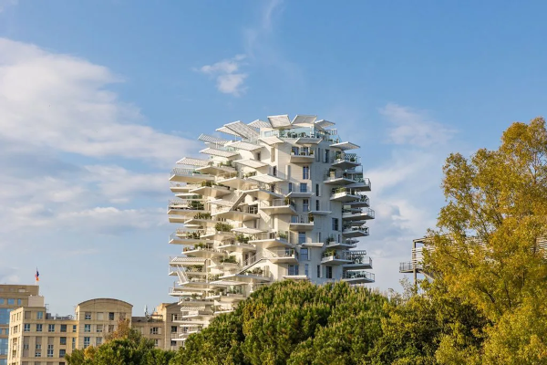 2025_arbre-blanc-montpellier.png