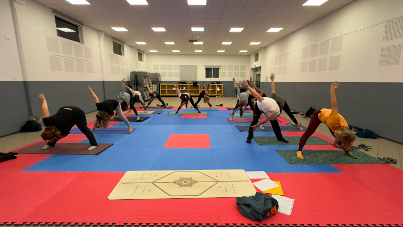 Vinyasa_2025-04-01.jpeg